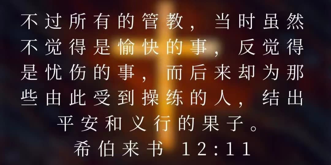 开端-初始的邂逅和思考